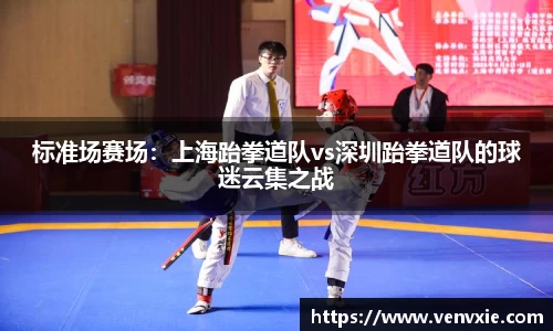 标准场赛场：上海跆拳道队vs深圳跆拳道队的球迷云集之战